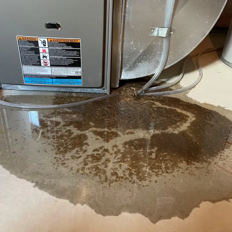 Appliance Leak Cleanup in Maricopa, AZ