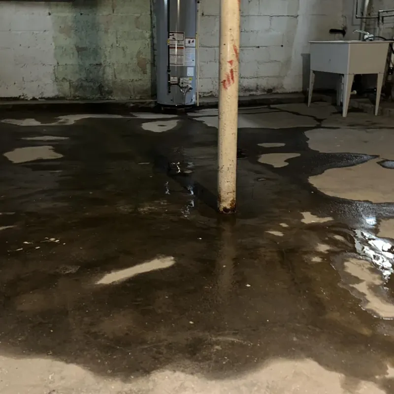 Emergency Water Extraction And Removal in Maricopa, AZ